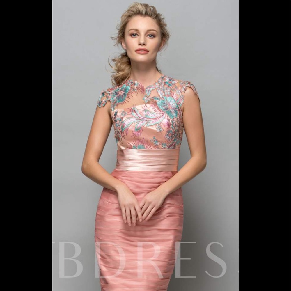 NWT Jewel Neck Appliqué Cocktail Rose Quartz Dress